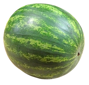 Meloun vodní bezpecek 1ks (cca 3,5-4kg)