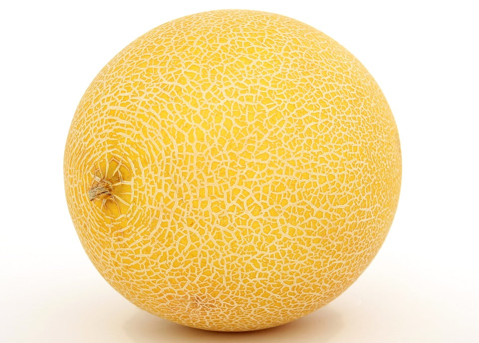 Meloun Galia cca 800g 1ks